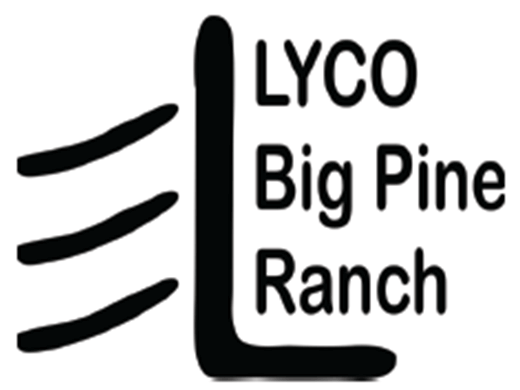 LycoBigPineRanch